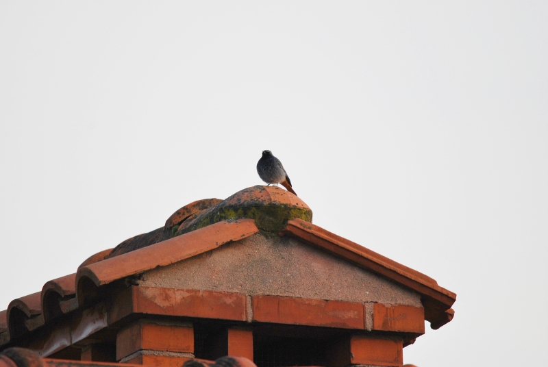 Nel regno del suo nome